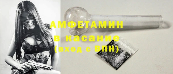 стаф Алзамай