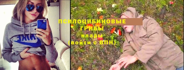 индика Алексеевка