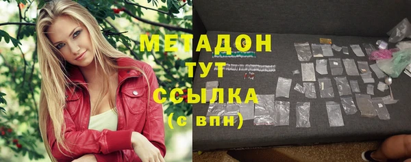 стаф Алзамай