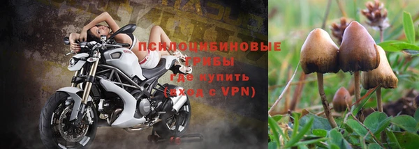 прущая мука Алексин