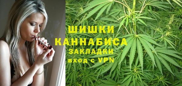 индика Алексеевка