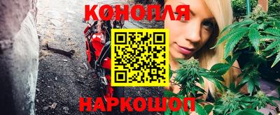 амф Дубна