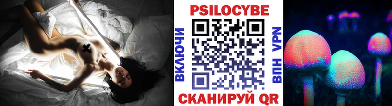 OMG рабочий сайт  Моздок  Псилоцибиновые грибы Cubensis  цены наркотик 