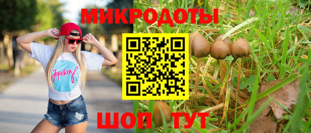 Галлюциногенные грибы Psilocybine cubensis Моздок